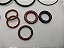 Kit Oring De Vedação Trim Motor Evinrude 60/250hp 434519 Eua - Imagem 3