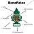 Cheirinho Aromatizador Royal Pine - Imagem 4
