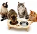 Comedouro Elevado Para Cães E Gatos Duplo Inox P E M Ração - Imagem 3