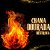 Chama Dourada - Destrava - Imagem 1
