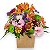 Arranjo Colorido - Imagem 1