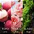 Chanson D'Eau Perfume Eau de Toilette Rose 100ml - Imagem 4
