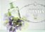 Les Infusion D' Iris Prada Eau de Parfum 100ml - Imagem 4