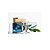 Invictus Paco Rabanne Eau de Toilette Masculino 50ml - Imagem 3