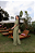 Conjunto Alfaiataria Jessy Verde - Imagem 3