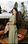 Conjunto Alfaiataria Jessy Verde - Imagem 4