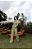 Conjunto Alfaiataria Jessy Verde - Imagem 1