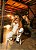 Conjunto Couro Jessy - OFF - Imagem 4