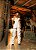 Conjunto Couro Jessy - OFF - Imagem 5