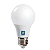 Kit 40 Lâmpadas Led 12w 6500k Bulbo E27 Branco Frio Bivolt 127/220V - Imagem 6