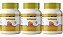 3x Isoflavona 650mg 100 Cápsulas Itaervas - Imagem 1