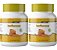 2x Isoflavona 650mg 100 Cápsulas Itaervas - Imagem 1