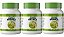 3x Amora Branca 650mg 100 Cápsulas Itaervas - Imagem 1