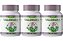 3x Valeriana Natural 500mg 120 Cápsulas Itaervas - Imagem 1