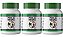 3x Pholia Magra 500mg 120 Cápsulas Itaervas - Imagem 1