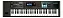 Teclado Roland JUNO DS61 Sintetizador 61 teclas - Imagem 1