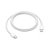 CABO USB-C ORIGINAL APPLE - Imagem 1