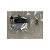 kit upgrade HDd e SSD Lenovo modelo Pk37a00f100 - Imagem 3