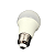 Superled Lampada Bulbo 9W BIV 6500K - Imagem 5