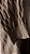 Teste - Imagem 2