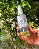 PEQUENO CAMPEÃO Body Splash 100ml - Imagem 2