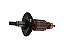 Induzido / Rotor Compatível 11263.7 - Gbh 7-46de Martelo - 7kg (PRODUTO IMPORTADO) - Imagem 2