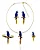 Conjunto Arara Azul - Bijuteria - Imagem 2