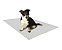 FOLHA PAPEL PIPIDOG LIMPO P/NECESSIDADE PACOTE 50X60CM 100UN - Imagem 1