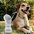 Bebedouro Portátil Para Pets Top House - Imagem 8
