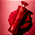Grace Rouge Absolu Deo Parfum 100ml - Cod/Ref: 011051 - Imagem 3