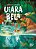 Uiara Bela - Imagem 1