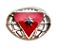 Distintivo de Líder Master Desbravadores - Imagem 1