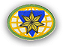 Globinho Uniforme Líder Master Avançado Desbravadores - Imagem 1