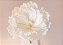 Flor de Serenata em Papel Crepom Italiano - Imagem 4
