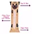 Kit Travesseiro De Corpo C/ Fronha Estampada Ziper 1,30m X 38cm - 2 Peças - Imagem 6