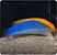 cianocefalos wrasse - Imagem 1