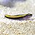 Neon Goby Amarelo - Imagem 1