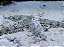 Sand Cleaner Starfish - Imagem 2