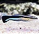 Cleaner Wrasse - Imagem 3