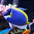 Powder Blue Tang - Imagem 3