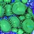 palythoa green button - Imagem 2