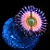 Palythoa Infusion Rainbow - Imagem 1