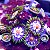 Zoanthus Stargazer - Imagem 1