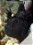Frogfish - Imagem 3