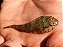 Limpa-Vidro MARINHO - Imagem 1