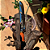 Faca churrasco - Knife Style - Tribal - Imagem 6