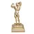 Troféu Fisiculturismo Arnold 25 Cm - Imagem 1