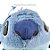Pelúcia Stitch Baby - 35cm - 1 unidade - Disney Original - Rizzo - 1 unidade - Imagem 7