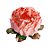 Forminha para Doces Finos - Bela Rose Gold - 30 unidades - Decora Doces - Rizzo - Imagem 1