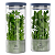 Kit 2 Potes de Vidro para Temperos Frescos e Hortaliças 1,3l Electrolux Original - Imagem 3
